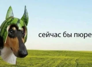 Sticker from ура