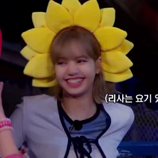 🌻 emoji @lalals7 summer diary Telegram sticker 23 of 40