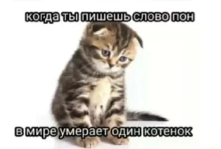 😐 emoji E-баллы Telegram sticker 10 of 64