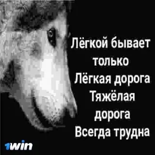 🐺 emoji E-баллы Telegram sticker 6 of 64