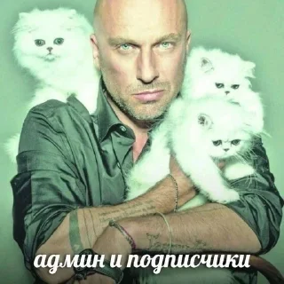 🌟 emoji снова здарова @mclday Telegram sticker 5 of 68