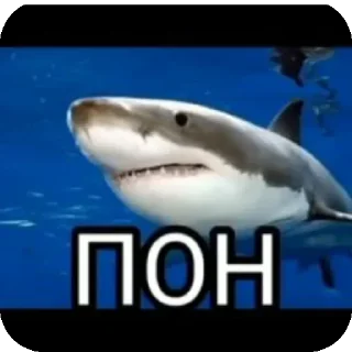 Sticker from Любые мемы
