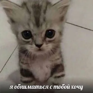 Sticker from оаоаоаоаатаььаь