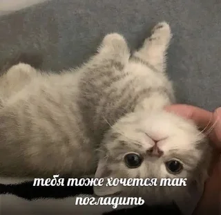 Sticker from оаоаоаоаатаььаь