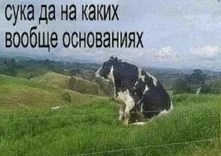 Sticker from хихи да хаха