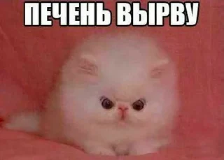 😡 emoji Психопатыч Telegram sticker 15 of 120