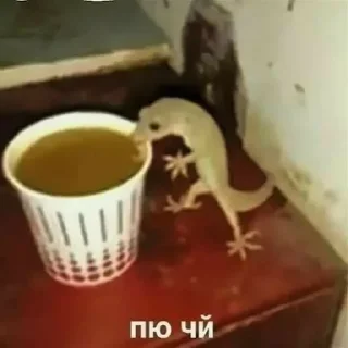 Sticker from Психопатыч