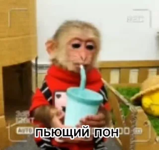 👅 emoji Обезьяны: @Pea4_stickerbot Telegram sticker 16 of 50