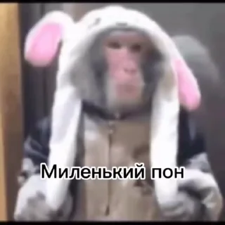 🥺 emoji Обезьяны: @Pea4_stickerbot Telegram sticker 21 of 50