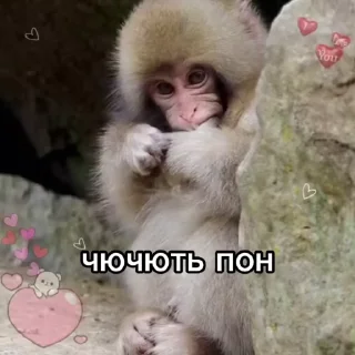 💀 emoji Обезьяны: @Pea4_stickerbot Telegram sticker 2 of 50