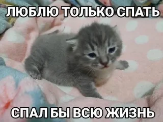 Sticker from пупупу :: leemeowsh