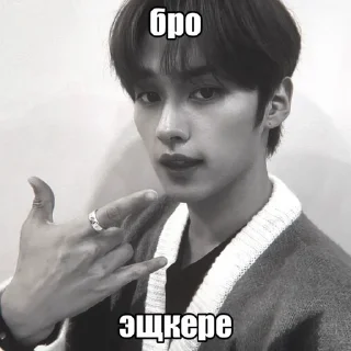🤟 emoji Минхо ЧБ. by @riiiminhoriginal Telegram sticker 15 of 44