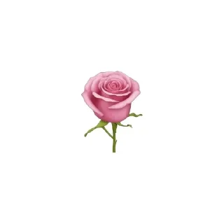 🌟 emoji эстетик Telegram sticker 11 of 44