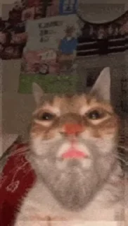 🌟 emoji The Broken cats: @fStikBot Telegram sticker 21 of 101
