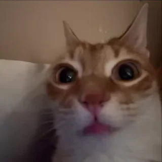 😧 emoji стикерочкииии Telegram sticker 2 of 60