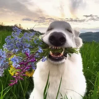 💐 emoji стикерочкииии Telegram sticker 21 of 60