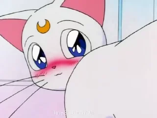 ☺️ emoji 😻Luna & Artemis😸 @SailorMoon90s Telegram sticker 10 of 25
