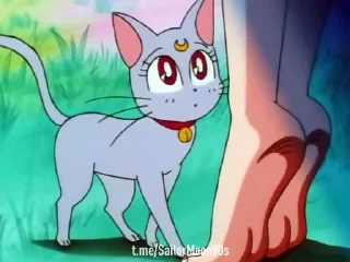 🤔 emoji 😻Luna & Artemis😸 @SailorMoon90s Telegram sticker 5 of 25