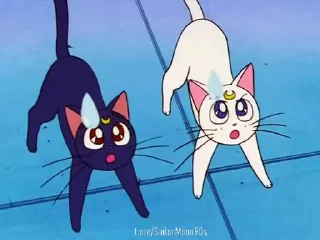 😓 emoji 😻Luna & Artemis😸 @SailorMoon90s Telegram sticker 20 of 25