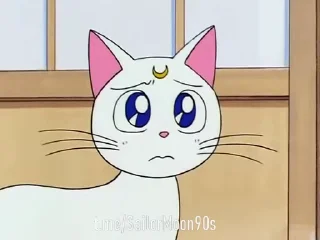 😕 emoji 😻Luna & Artemis😸 @SailorMoon90s Telegram sticker 2 of 25