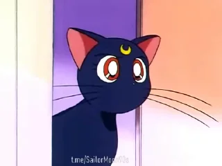 😬 emoji 😻Luna & Artemis😸 @SailorMoon90s Telegram sticker 13 of 25