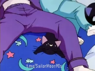 😪 emoji 😻Luna & Artemis😸 @SailorMoon90s Telegram sticker 7 of 25