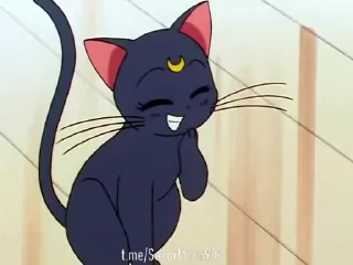 🦷 emoji 😻Luna & Artemis😸 @SailorMoon90s Telegram sticker 14 of 25