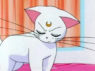 😵 emoji 😻Luna & Artemis😸 @SailorMoon90s Telegram sticker 9 of 25