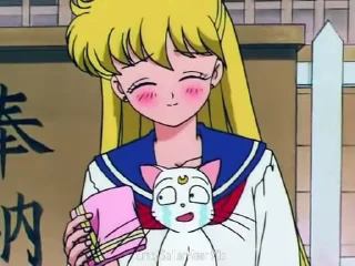 😿 emoji 😻Luna & Artemis😸 @SailorMoon90s Telegram sticker 21 of 25