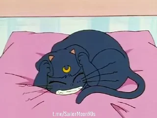 😓 emoji 😻Luna & Artemis😸 @SailorMoon90s Telegram sticker 17 of 25