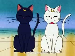 😟 emoji 😻Luna & Artemis😸 @SailorMoon90s Telegram sticker 8 of 25