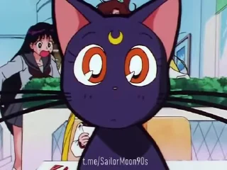😶 emoji 😻Luna & Artemis😸 @SailorMoon90s Telegram sticker 1 of 25