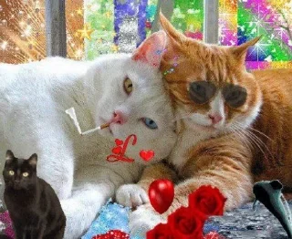 Sticker from Cats