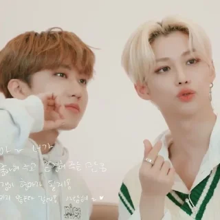 Sticker from binnie&lixie |@skzstickersss