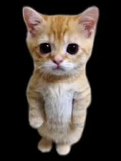 😈 emoji Пи пи пидор гей Telegram sticker 13 of 120