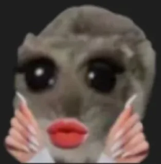 Sticker from хомячки