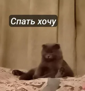 ⭐️ emoji Ну типо аист @tgfonts_bot Telegram sticker 16 of 36