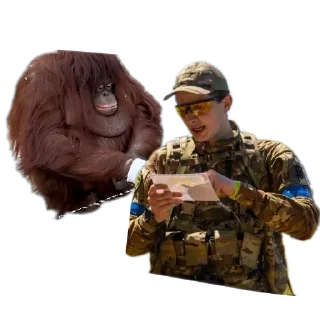 ✋ emoji ЧВК Ебан Telegram sticker 18 of 23