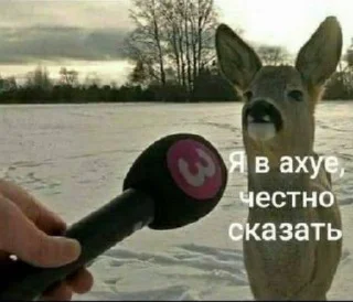 Sticker from муд санечка шумкова