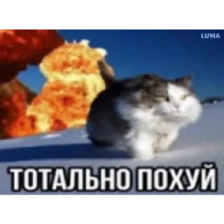 Sticker from На все случаи жизни