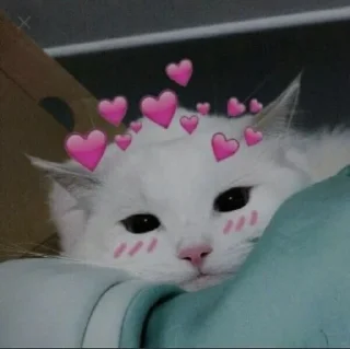 😚 emoji meow Telegram sticker 21 of 120