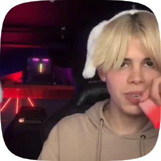 🫡 emoji федя и мотя @rinnimeowxx Telegram sticker 7 of 50