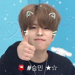 ☺️ emoji Сынмин милашка Telegram sticker 18 of 120