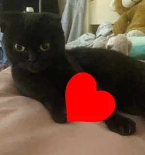 ❤️ emoji Пучечка Telegram sticker 24 of 62