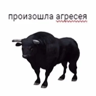 🤬 emoji RomkaMirzoyan© Telegram sticker 5 of 89