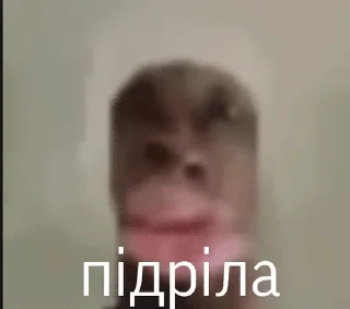 🌟 emoji Райс оф кінгдом Telegram sticker 7 of 18