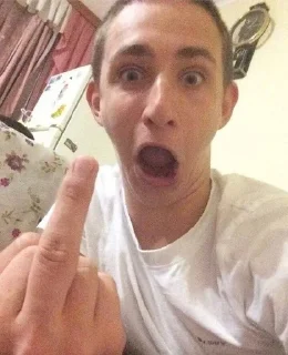 🖕 emoji литвин кондиции Telegram sticker 15 of 41