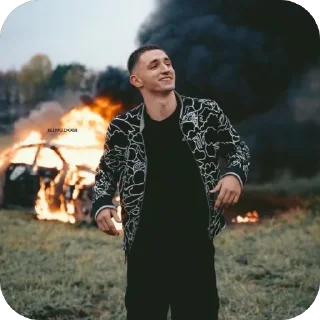 🫥 emoji литвин кондиции Telegram sticker 5 of 41