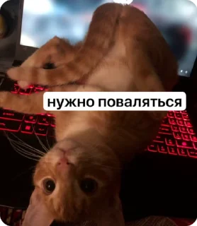 Sticker from обсудим и осудим