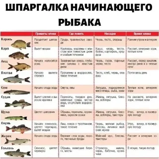 ❗️ emoji 🇷🇺ZV🇷🇺 ASIK 🇷🇺ZV🇷🇺 Telegram sticker 8 of 28